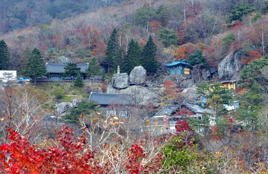 연기(緣起) 조사가 전국을 두루 다녀본 후 천하의 승지(勝地)라 하여 터를 잡은 이곳은 용이 사리고 범이 웅크린 듯한 산세로 좌우로 급박하게 짜여져서 오직 동남쪽으로만 트여있으니 동틈과 함께 지기와 천기가 조화를 이루며 화합하는 곳이다 . 